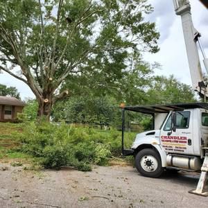 Meet your Posher, Elaine